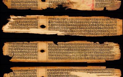 Was hat der Buddha wirklich gesagt und gelehrt? – Eine Bestandsaufnahme aus philologischer Sicht