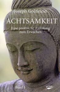goldstein achtsamkeit