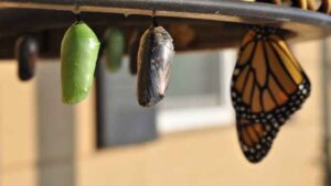 anicca unbestaendigkeit 700x394 1