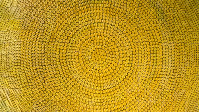 kreis-teile-700x394-1