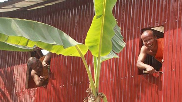 lah-peace-house-1-16x9-1