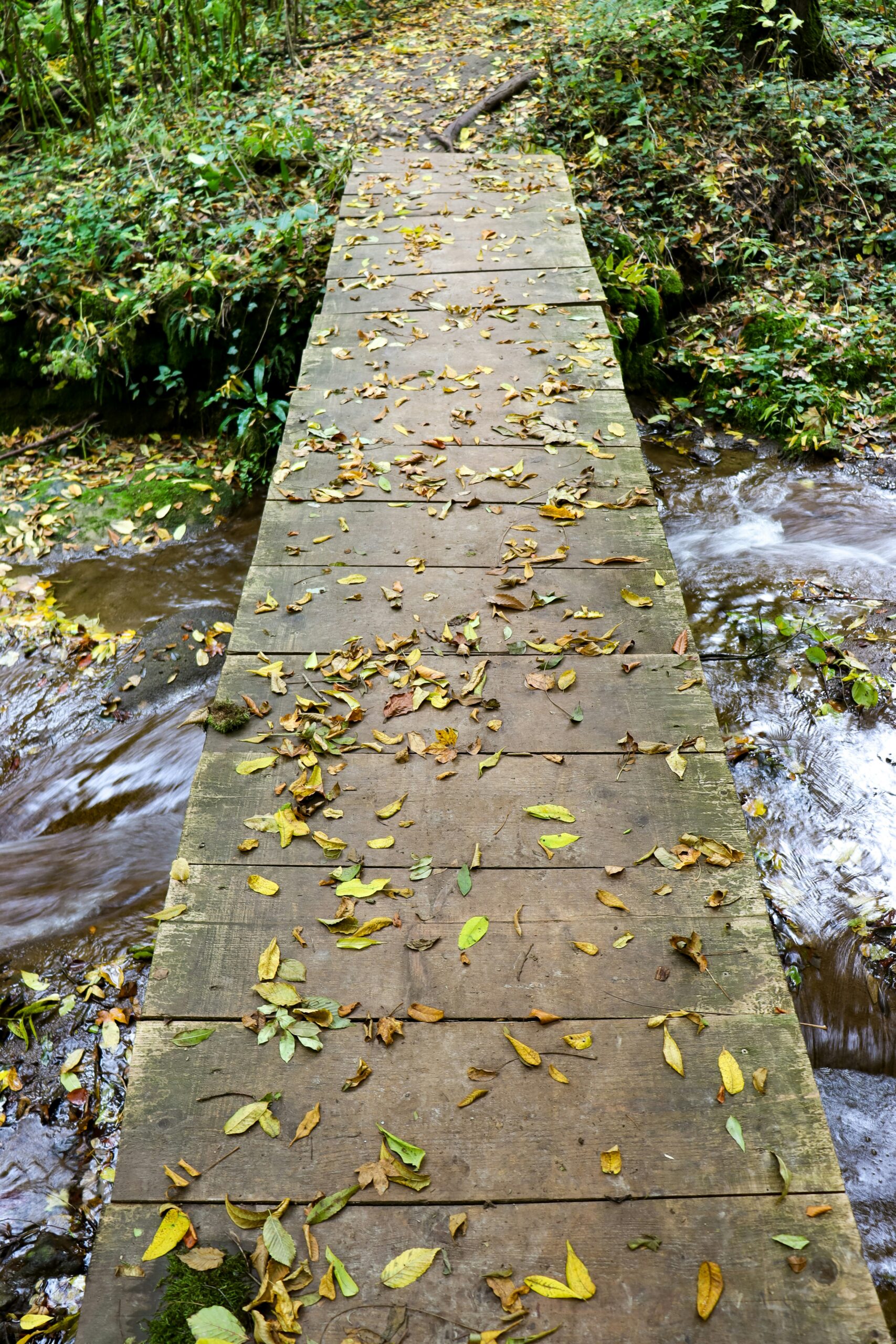 fermoar-ro-rq0vOkReiNM-unsplash