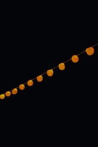 cristina gottardi v8ALNc81ja0 unsplash