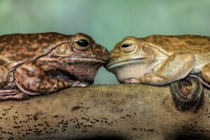 david clode Qrsq1NKP5IQ unsplash