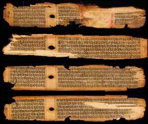 pali palmblatter scaled 1